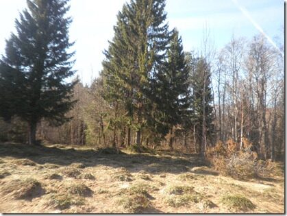 Kevad_Maal 063
